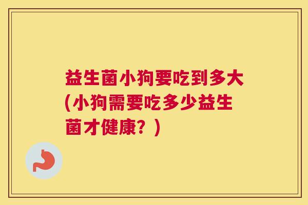 益生菌小狗要吃到多大(小狗需要吃多少益生菌才健康？)