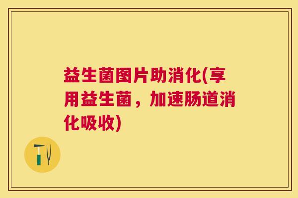 益生菌图片助消化(享用益生菌，加速肠道消化吸收)