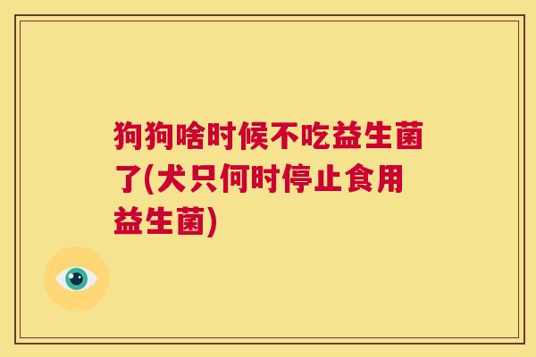 狗狗啥时候不吃益生菌了(犬只何时停止食用益生菌)
