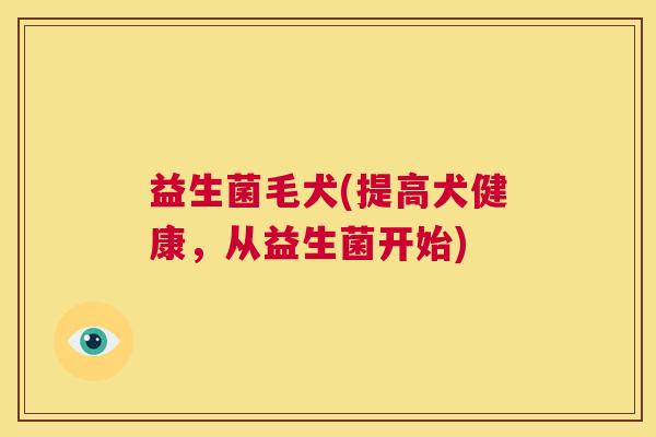 益生菌毛犬(提高犬健康，从益生菌开始)