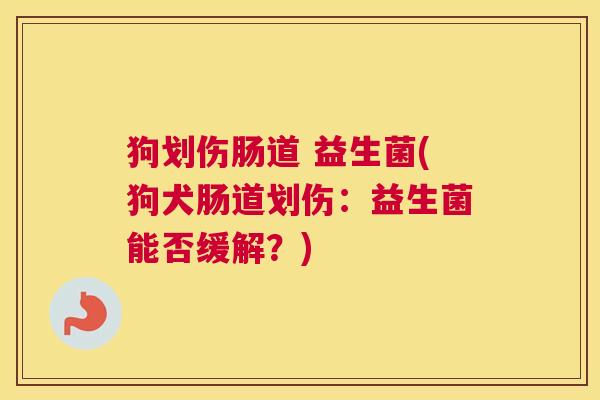 狗划伤肠道 益生菌(狗犬肠道划伤：益生菌能否缓解？)