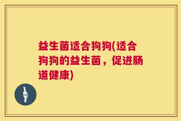 益生菌适合狗狗(适合狗狗的益生菌，促进肠道健康)
