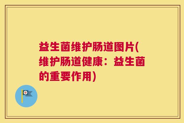 益生菌维护肠道图片(维护肠道健康：益生菌的重要作用)