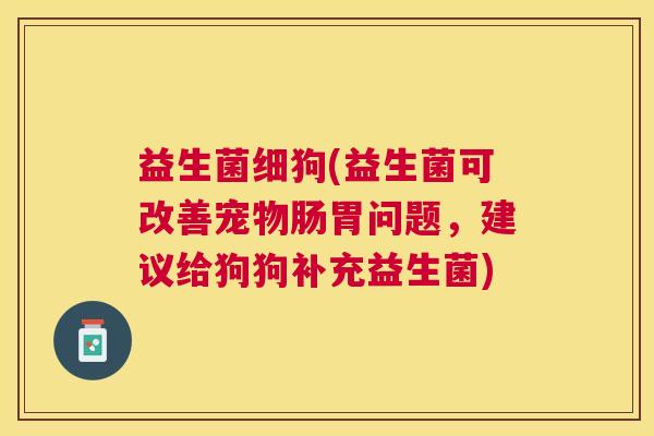 益生菌细狗(益生菌可改善宠物肠胃问题，建议给狗狗补充益生菌)