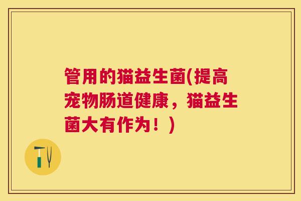 管用的猫益生菌(提高宠物肠道健康，猫益生菌大有作为！)