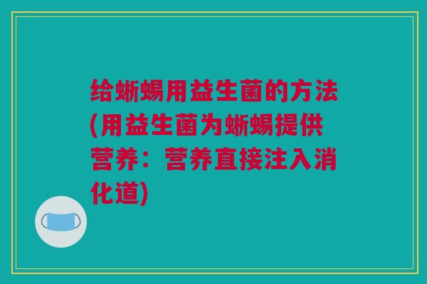 给蜥蜴用益生菌的方法(用益生菌为蜥蜴提供营养：营养直接注入消化道)