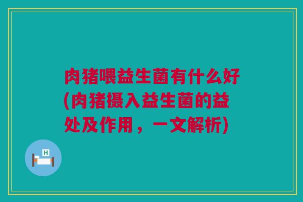 肉猪喂益生菌有什么好(肉猪摄入益生菌的益处及作用，一文解析)