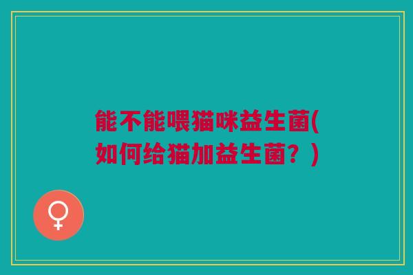 能不能喂猫咪益生菌(如何给猫加益生菌？)
