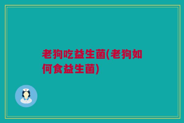 老狗吃益生菌(老狗如何食益生菌)