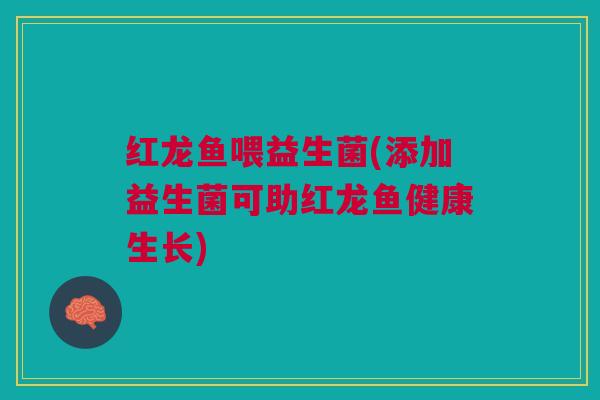 红龙鱼喂益生菌(添加益生菌可助红龙鱼健康生长)