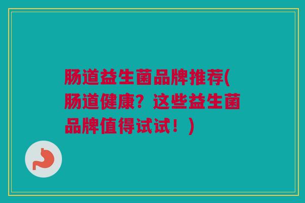 肠道益生菌品牌推荐(肠道健康？这些益生菌品牌值得试试！)