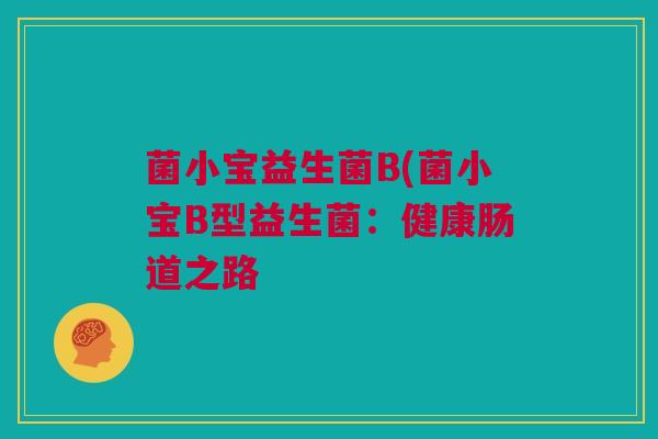 菌小宝益生菌B(菌小宝B型益生菌：健康肠道之路