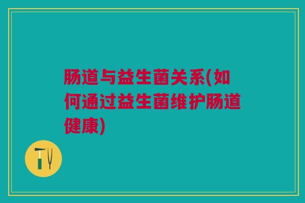 肠道与益生菌关系(如何通过益生菌维护肠道健康)
