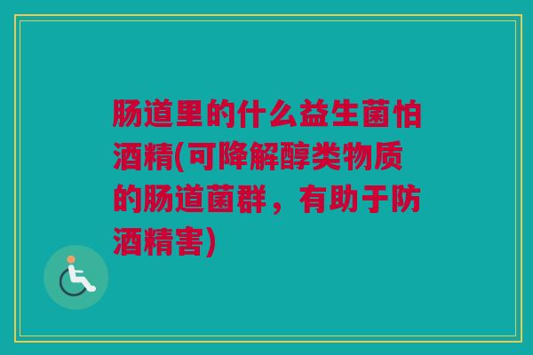 肠道里的什么益生菌怕酒精(可降解醇类物质的肠道菌群，有助于防酒精害)