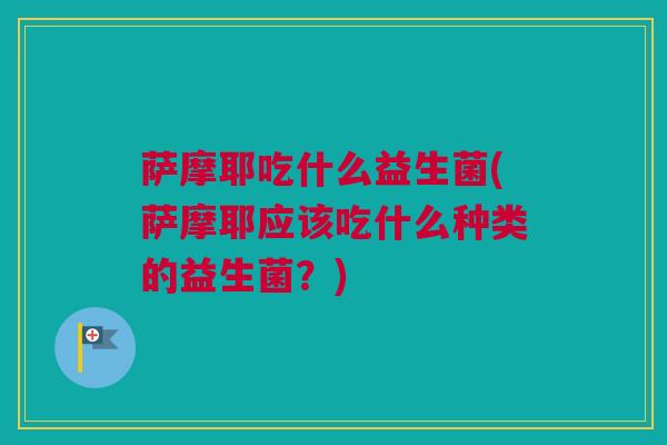 萨摩耶吃什么益生菌(萨摩耶应该吃什么种类的益生菌？)