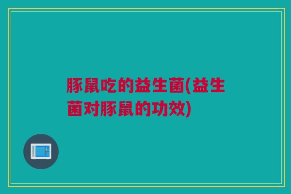 豚鼠吃的益生菌(益生菌对豚鼠的功效)