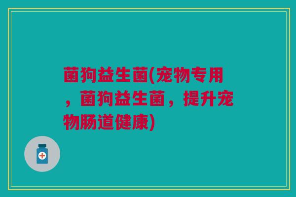 菌狗益生菌(宠物专用，菌狗益生菌，提升宠物肠道健康)