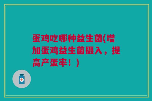 蛋鸡吃哪种益生菌(增加蛋鸡益生菌摄入，提高产蛋率！)