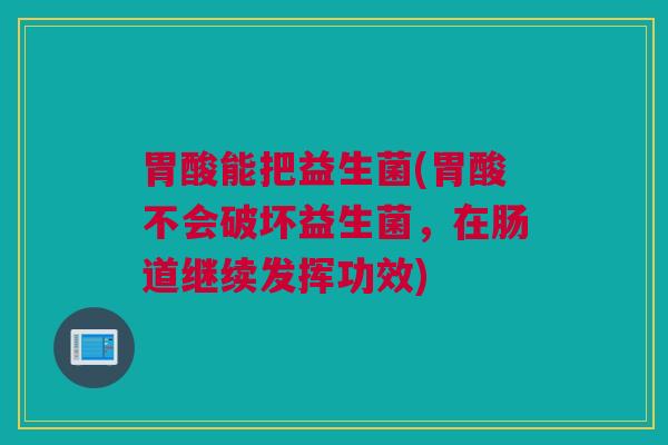 胃酸能把益生菌(胃酸不会破坏益生菌，在肠道继续发挥功效)
