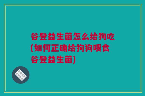 谷登益生菌怎么给狗吃(如何正确给狗狗喂食谷登益生菌)