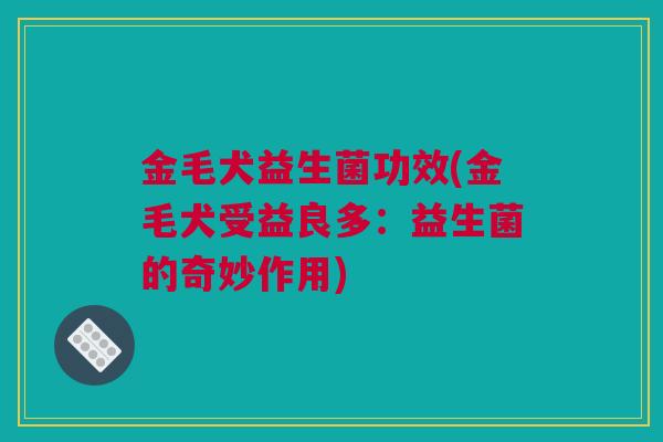 金毛犬益生菌功效(金毛犬受益良多：益生菌的奇妙作用)