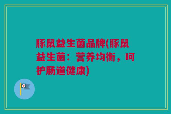 豚鼠益生菌品牌(豚鼠益生菌：营养均衡，呵护肠道健康)