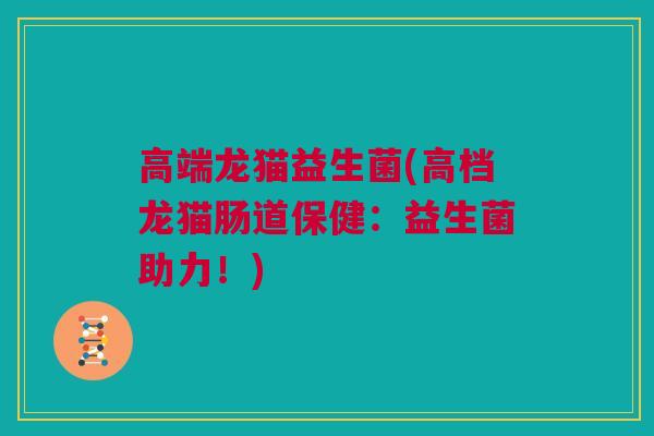 高端龙猫益生菌(高档龙猫肠道保健：益生菌助力！)