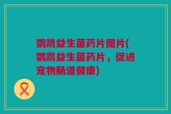 鹦鹉益生菌药片图片(鹦鹉益生菌药片，促进宠物肠道健康)