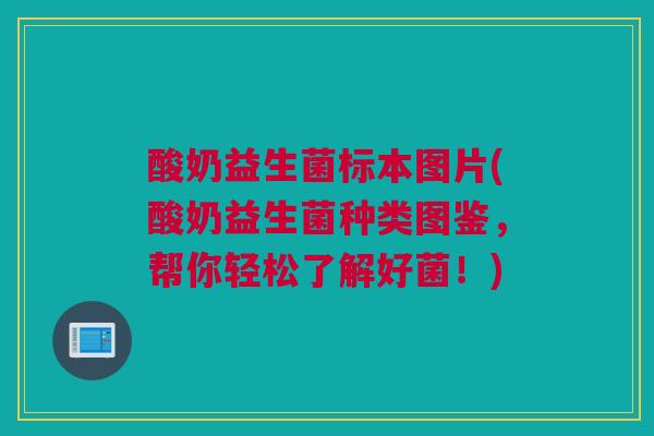 酸奶益生菌标本图片(酸奶益生菌种类图鉴，帮你轻松了解好菌！)