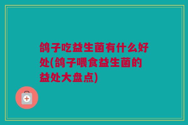 鸽子吃益生菌有什么好处(鸽子喂食益生菌的益处大盘点)