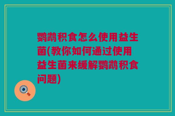鹦鹉积食怎么使用益生菌(教你如何通过使用益生菌来缓解鹦鹉积食问题)