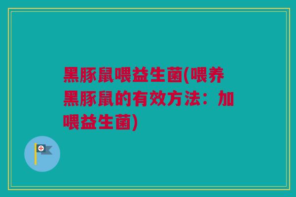 黑豚鼠喂益生菌(喂养黑豚鼠的有效方法：加喂益生菌)