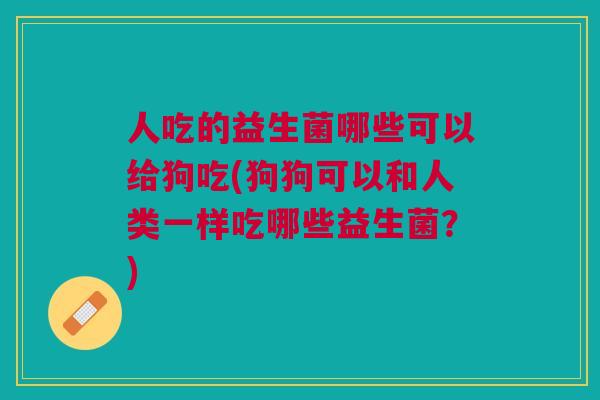 人吃的益生菌哪些可以给狗吃(狗狗可以和人类一样吃哪些益生菌？)
