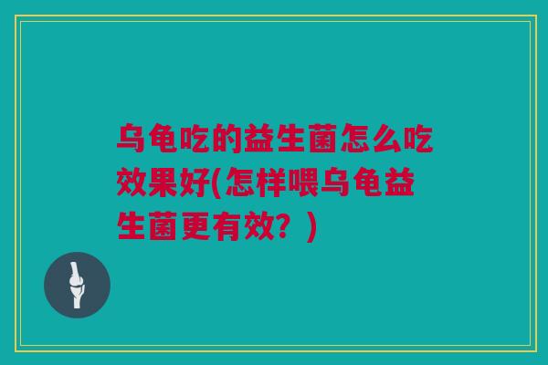 乌龟吃的益生菌怎么吃效果好(怎样喂乌龟益生菌更有效？)