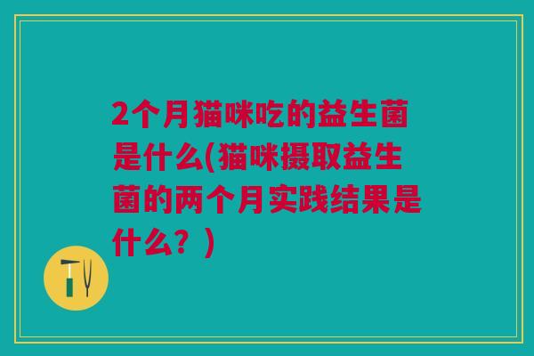 2个月猫咪吃的益生菌是什么(猫咪摄取益生菌的两个月实践结果是什么？)