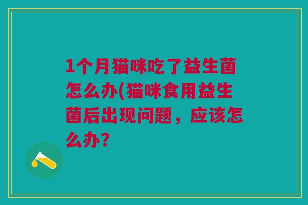 1个月猫咪吃了益生菌怎么办(猫咪食用益生菌后出现问题，应该怎么办？