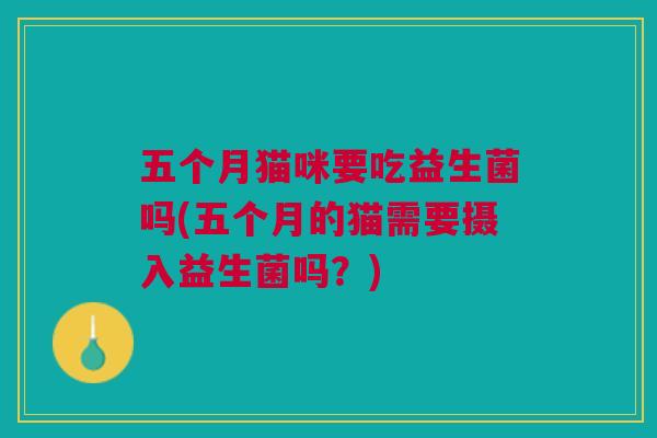 五个月猫咪要吃益生菌吗(五个月的猫需要摄入益生菌吗？)