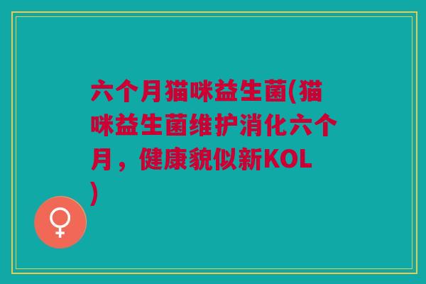 六个月猫咪益生菌(猫咪益生菌维护消化六个月，健康貌似新KOL)
