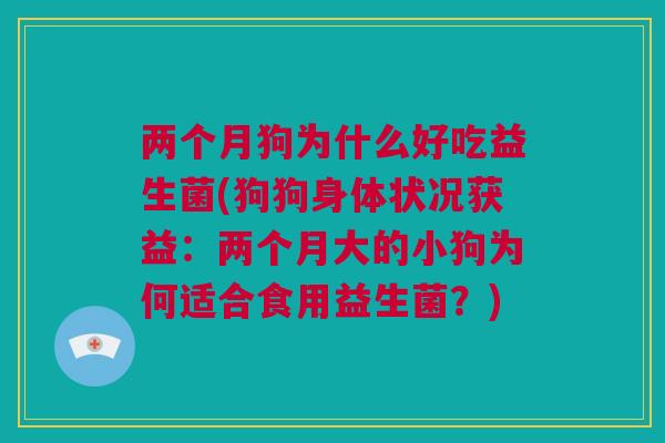 两个月狗为什么好吃益生菌(狗狗身体状况获益：两个月大的小狗为何适合食用益生菌？)