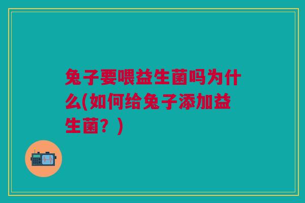 兔子要喂益生菌吗为什么(如何给兔子添加益生菌？)