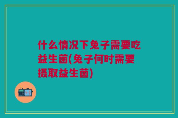 什么情况下兔子需要吃益生菌(兔子何时需要摄取益生菌)