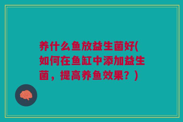 养什么鱼放益生菌好(如何在鱼缸中添加益生菌，提高养鱼效果？)