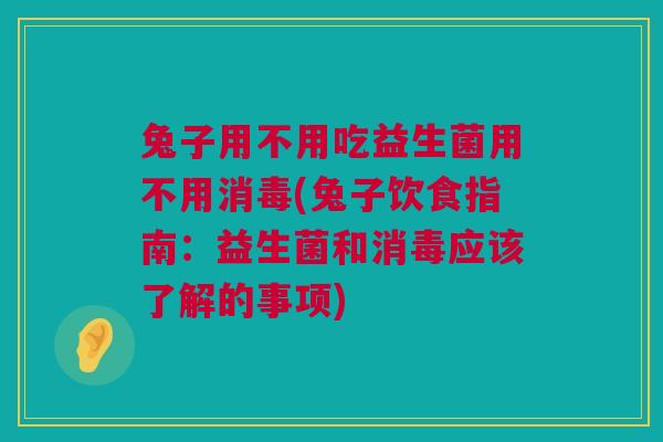 兔子用不用吃益生菌用不用消毒(兔子饮食指南：益生菌和消毒应该了解的事项)