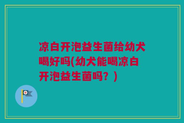 凉白开泡益生菌给幼犬喝好吗(幼犬能喝凉白开泡益生菌吗？)