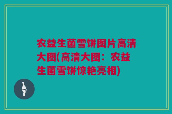 农益生菌雪饼图片高清大图(高清大图：农益生菌雪饼惊艳亮相)