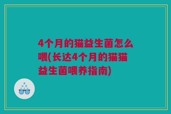 4个月的猫益生菌怎么喂(长达4个月的猫猫益生菌喂养指南)