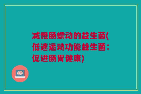 减慢肠蠕动的益生菌(低速运动功能益生菌：促进肠胃健康)