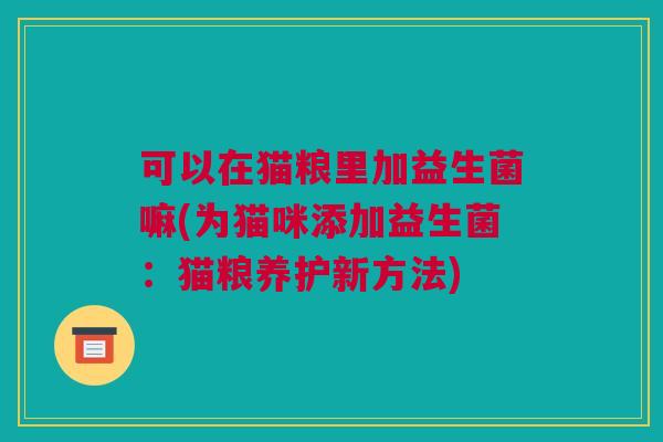 可以在猫粮里加益生菌嘛(为猫咪添加益生菌：猫粮养护新方法)