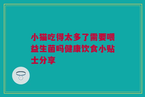 小猫吃得太多了需要喂益生菌吗健康饮食小贴士分享