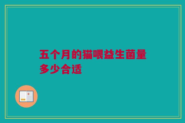 五个月的猫喂益生菌量多少合适